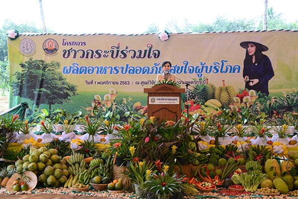 รมช.มนัญญาเปิดโครงการชาวกระบี่ร่วมใจ