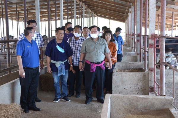 ดันเกษตรกรเลี้ยงควายไทย