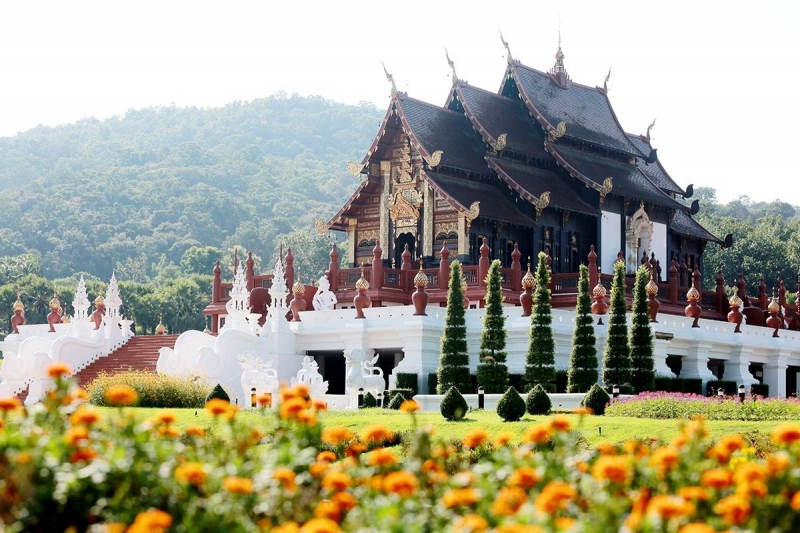 แอ่วเหนือม่วนใจ๋ปลอดภัยไร้โควิด-19ที่อุทยานหลวงราชพฤกษ์
