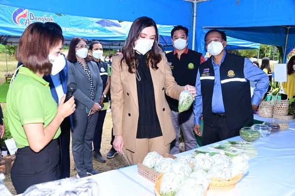 ‘รมช.มนัญญา’หนุนปล่อยแตนเบียนต่อเนื่อง