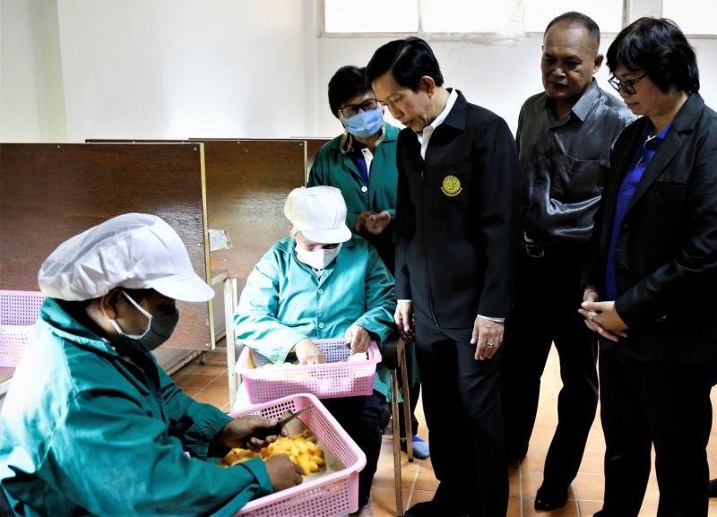 กรมหม่อนไหมส่งเสริมการผลิตไข่ไหมแบบเกษตรกรมีส่วนร่วม