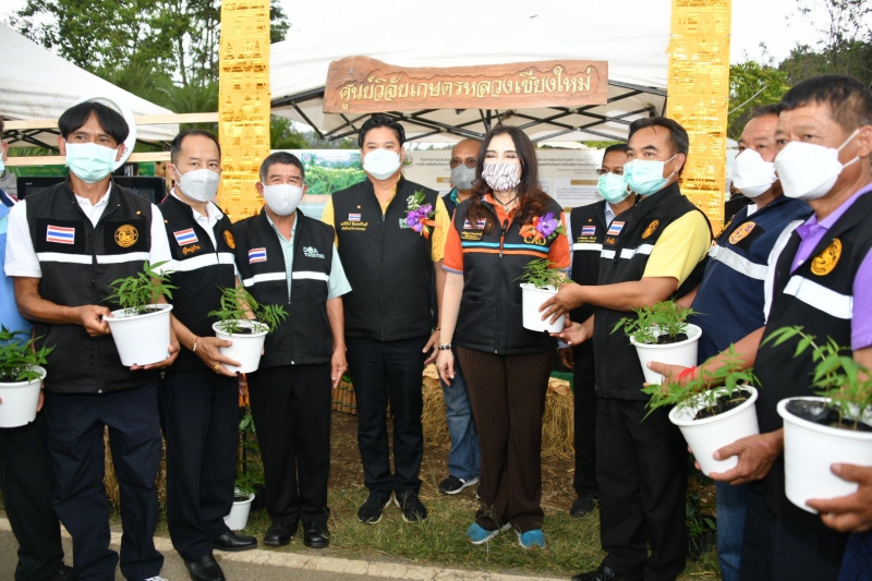 ‘รมช.มนัญญา’ลงพื้นที่จ.เชียงใหม่ตรวจเยี่ยมโครงการเกษตรวิชญา