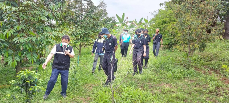 กรมวิชาการเกษตรสนองแนวพระราชดำริ