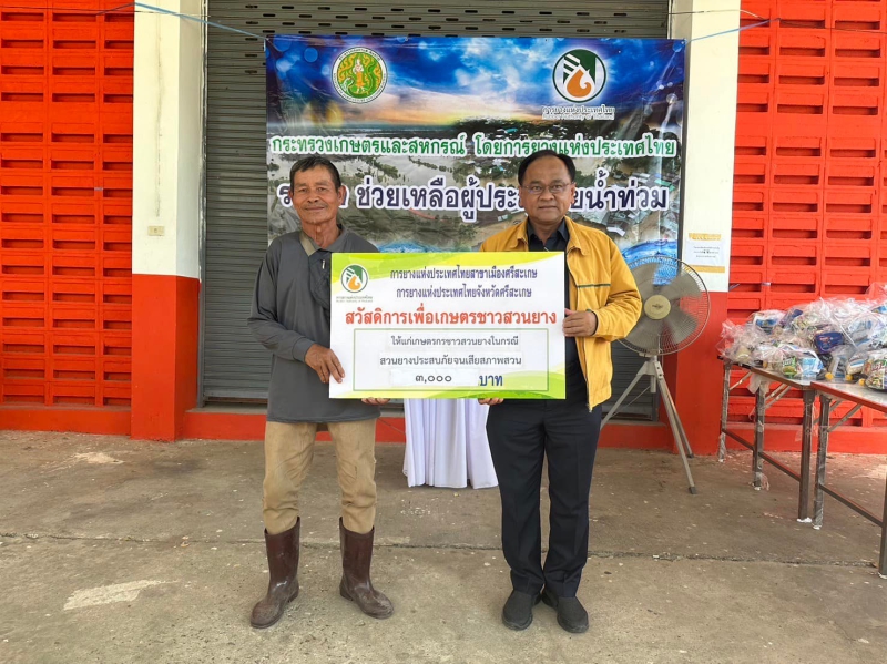 กยท.งัดมาตรการกองทุนพัฒนายางฯ