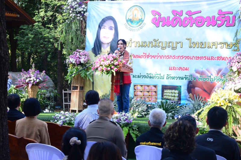 ‘รมช.มนัญญา’ส่งเสริมแปลงใหญ่มะม่วงคุณภาพบ้านวังน้ำบ่อ