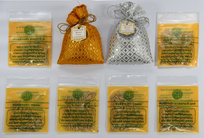 วันพืชฯปีนี้กรมการข้าวเตรียมแจก6พันธุ์ข้าวทรงปลูกพระราชทาน