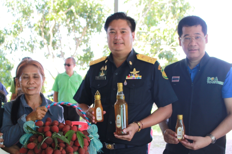 กรมวิชาการเกษตรหนุนเกษตรกรปลูกลิ้นจี่นครพนมสินค้า