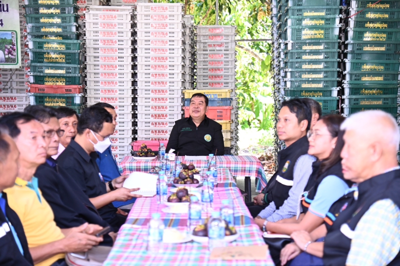 “รองปลัดเกษตรฯ”ผลักดันการผลิตมังคุดเน้นคัดคุณภาพ