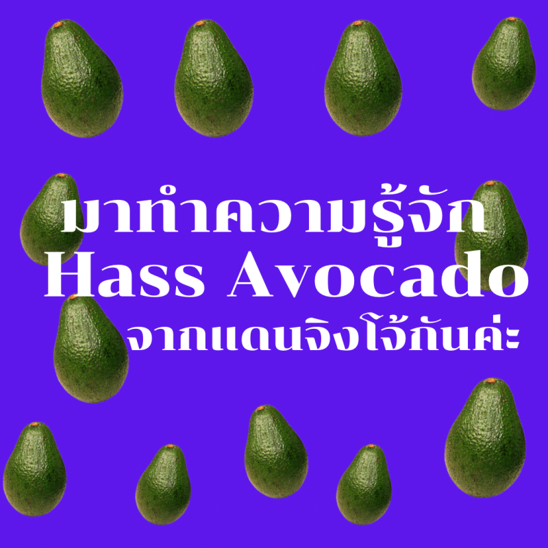 มาทำความรู้จัก Hass Avocado จากแดนจิงโจ้กันค่ะ