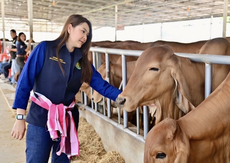 ก.เกษตรขานรับนโยบายเศรษฐาส่งเสริมควายไทย