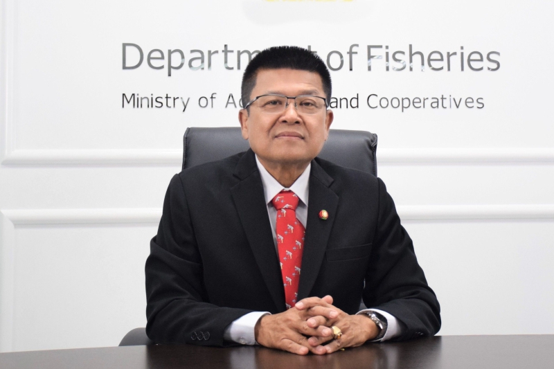 กรมประมงแจง...กุ้งนำเข้าไม่ใช่เหตุกระทบราคาในประเทศ