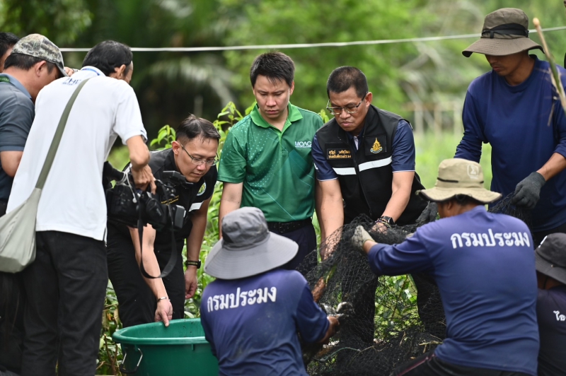 ‘รมช.อรรถกร’ดีเดย์ปฏิบัติการ“กำจัดปลาหมอคางดำในพื้นที่