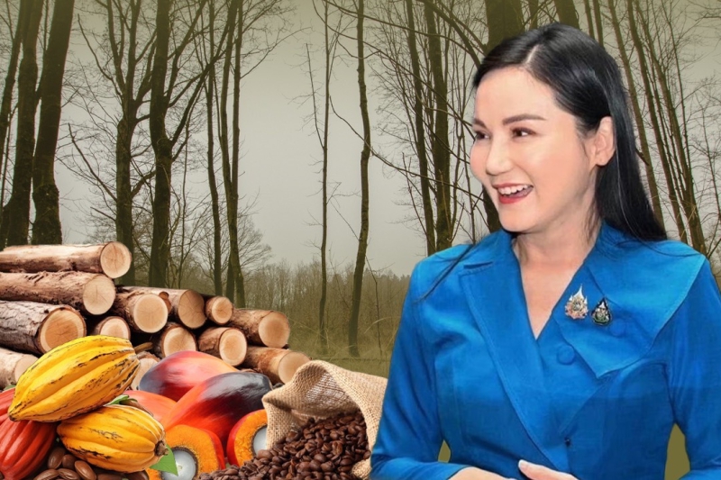 “รมว.นฤมล” แจ้งข่าวดี ไทยถูกจัดให้อยู่ในกลุ่ม “Low Risk” ตามกฎ EUDR เอื้อส่งออกสินค้าเกษตรไปยุโรปง่ายขึ้น...