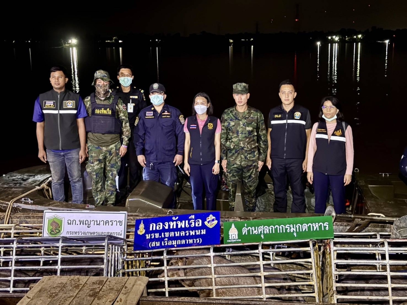 “ฉก.พญานาคราช” จับหมูและแพะเถื่อนในจังหวัดมุกดาหาร