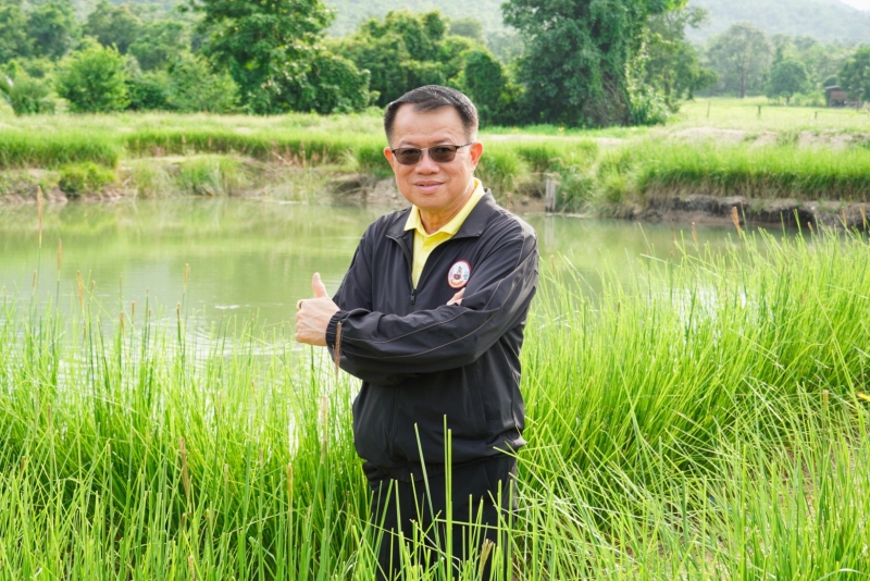 กรมพัฒนาที่ดินหนุนเกษตรกร“ปลูกหญ้าแฝก”