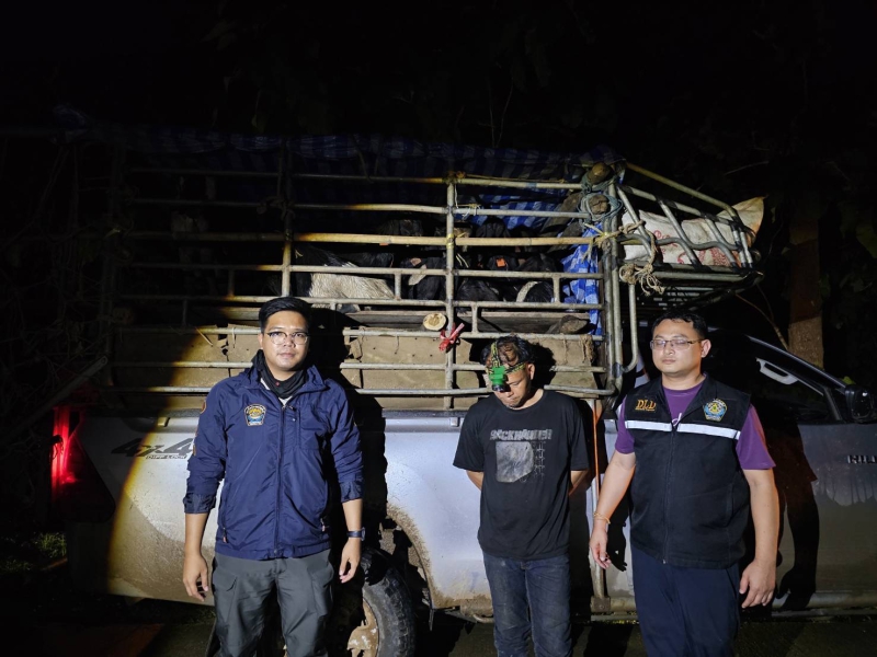 “ฉก.พญานาคราช” ตรวจยึดแพะเถื่อนในพื้นที่จังหวัดตาก