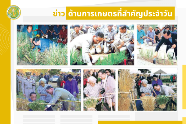 สรุปข่าวด้านการเกษตรที่สำคัญประจำวันที่ 8 ธันวาคม 2568