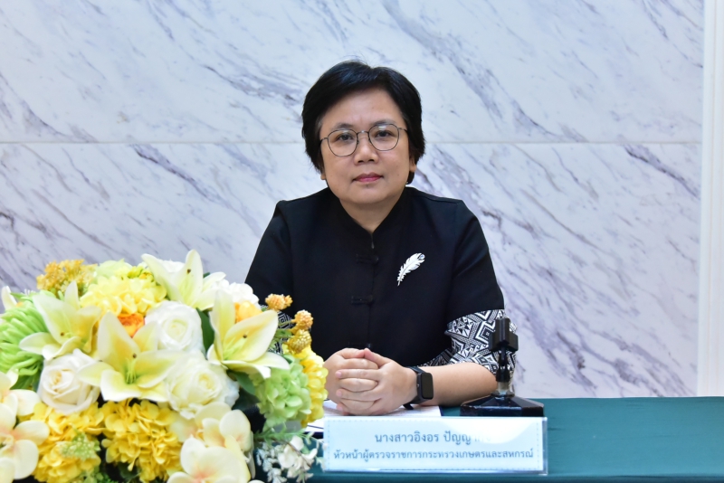 หัวหน้าผู้ตรวจราชการ