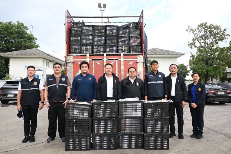 รองผู้บัญชาการฯศพร.นำทีมเจ้าหน้าที่จับสินค้าปศุสัตว์เถื่อนกว่า
