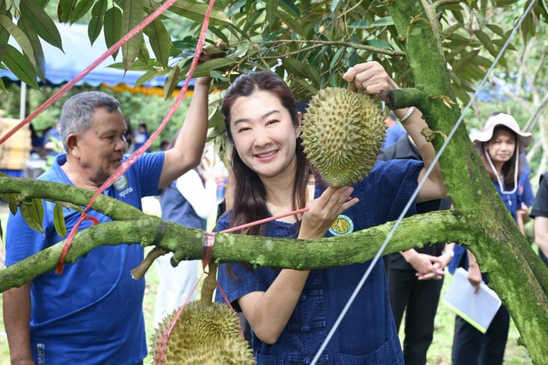 รมช.ปิยะรัฐชย์เปิดงาน“เทศกาลเปิดสวนทุเรียนนางนอน”