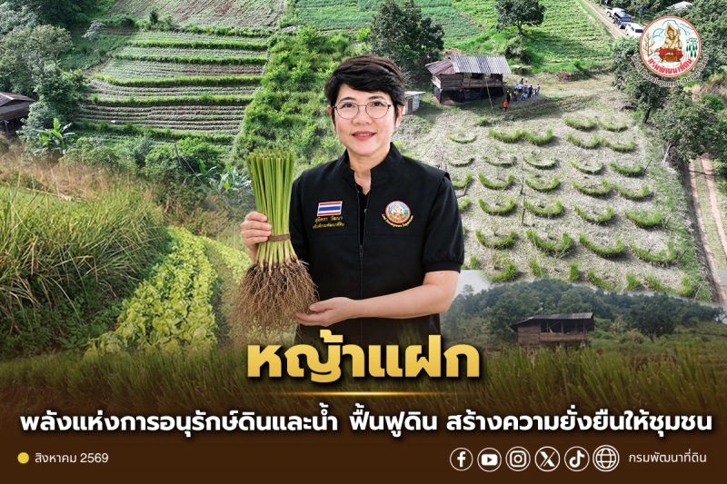 “หญ้าแฝก”พลังแห่งการอนุรักษ์ดินและน้ำ