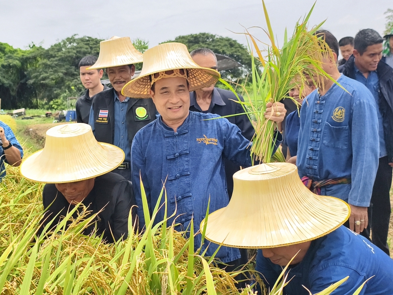 นายสุรชัย ยุทธชนะ ผู้ตรวจราชการกระทรวงเกษตรและสหกรณ์ ร่วมกิจกรรมการเกี่ยวข้าว “รู้รักอ่างทอง” ณ แปลงนาต้นแบบ อ.ป่าโมก จ.อ่างทอง
