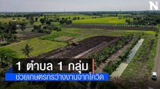 เกษตรฯเร่งโครงการ1ตำบล1กลุ่มเกษตรทฤษฎีใหม่