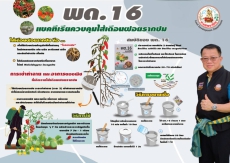 พด.16ตัวช่วยใหม่!กรมพัฒนาที่ดินเปิดตัวจุลินทรีย์สู้ไส้เดือนฝอยรากปม