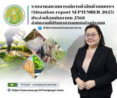 รายงานสถานการณ์การค้าสินค้าเกษตร