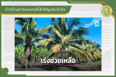 สรุปข่าวด้านการเกษตรที่สำคัญประจำวันที่ 7 มกราคม 2569