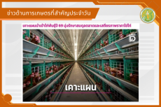 สรุปข่าวด้านการเกษตรที่สำคัญประจำวันที่ 15 มกราคม 2569