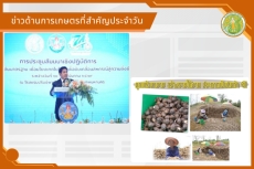 สรุปข่าวด้านการเกษตรที่สำคัญประจำวันที่ 12 มีนาคม 2569