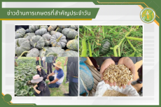 สรุปข่าวด้านการเกษตรที่สำคัญประจำวันที่ 18 มีนาคม 2569