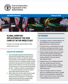FAOเผยแพร่เอกสารวิเคราะห์ผลกระทบความขัดแย้งตะวันออกกลางต่อระบบเกษตรอาหารโลก