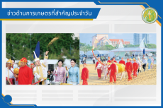 สรุปข่าวด้านการเกษตรที่สำคัญประจำวันที่ 1 พฤษภาคม 2569