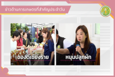 สรุปข่าวด้านการเกษตรที่สำคัญประจำวันที่ 12 พฤษภาคม 2569