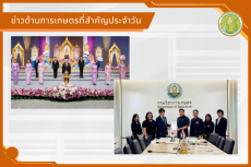 สรุปข่าวด้านการเกษตรที่สำคัญประจำวันที่