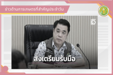 สรุปข่าวด้านการเกษตรที่สำคัญประจำวันที่ 16 มิถุนายน 2569