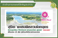 สรุปข่าวด้านการเกษตรที่สำคัญประจำวันที่ 17 มิถุนายน 2569