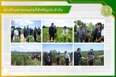 สรุปข่าวด้านการเกษตรที่สำคัญประจำวันที่ 4-6 กรกฎาคม 2569