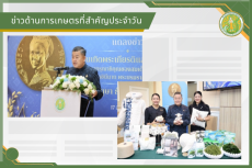 สรุปข่าวด้านการเกษตรที่สำคัญประจำวันที่ 19 สิงหาคม 2569