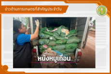 สรุปข่าวด้านการเกษตรที่สำคัญประจำวันที่ 3 กันยายน 2569