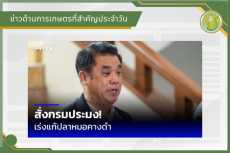 สรุปข่าวด้านการเกษตรที่สำคัญประจำวันที่ 9 กันยายน 2569