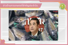 สรุปข่าวด้านการเกษตรที่สำคัญประจำวันที่ 15 กันยายน 2569