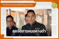 สรุปข่าวด้านการเกษตรที่สำคัญประจำวันที่ 17 กันยายน 2569